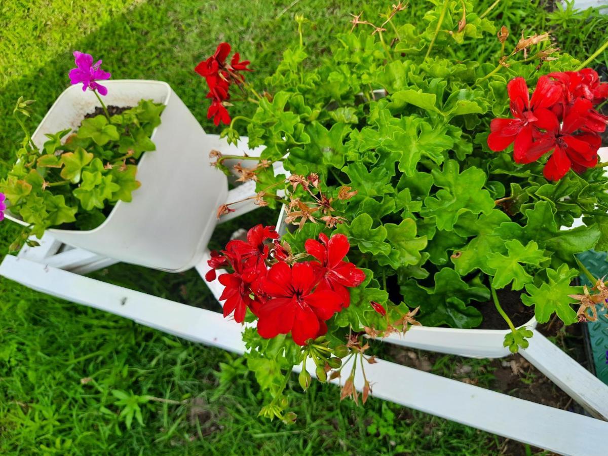 Vila Pushimi Regis Velipojë Exteriör bild