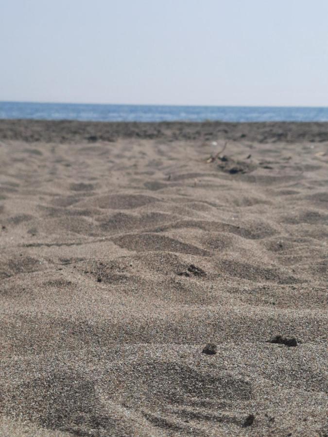 Vila Pushimi Regis Velipojë Exteriör bild
